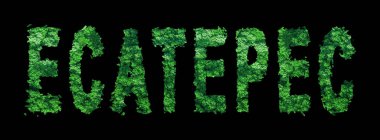 Ecatepec harfleri, Ecatepec Ormanı Ekolojisi Siyah, Kırpma Yolu Konsepti