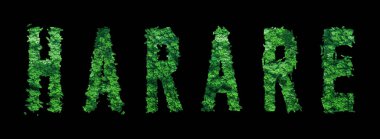 Harare harfleri, Harare Ormanı Ekolojisi Siyah, Kırpma Yolu Konsepti