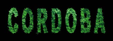 Cordoba harfleri, Cordoba Ormanı Ekolojisi Siyah, Kırpma Yolu Konsepti