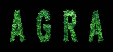 Agra harfleri, Agra Ormanı Ekolojisi Siyah, Kırpma Yolu Konsepti