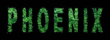 Phoenix mektupları, Phoenix Ormanı Ekolojisi Siyahi Konsepti, Kırpma Yolu