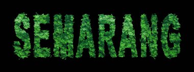 Semarang harfleri, Semarang Ormanı Ekolojisi Siyah, Kırpma Yolu Konsepti