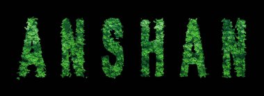 Anshan Harfleri, Anshan Ormanı Ekolojisi Siyahi Konsepti, Kırpma Yolu