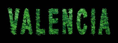 Valencia Harfleri, Valencia Orman Ekolojisi Siyah, Kırpma Yolu Konsepti