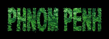 Phnom Penh harfleri, Phnom Penh Ormanı Siyahi Ekoloji Konsepti, Kırpma Yolu