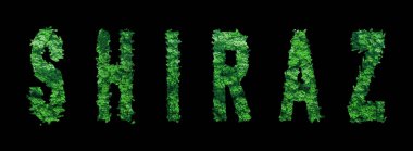 Şiraz harfleri, Shiraz Ormanı Ekolojisi Siyah, Kırpma Yolu Konsepti