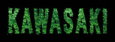 Kawasaki harfleri, Kawasaki Ormanı Ekolojisi Siyah, Kırpma Yolu Konsepti