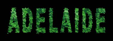 Adelaide yazıtları, Adelaide Ormanı Ekolojisi Siyah, Kırpma Yolu Konsepti