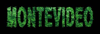 Montevideo harfleri, Montevideo Ormanı Ekolojisi Siyah, Kırpma Yolu Konsepti