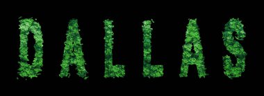 Dallas Harfleri, Dallas Ormanı Ekolojisi Siyahi Konsepti, Kırpma Yolu