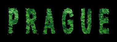 Prag harfleri, Prag Ormanı Ekolojisi Siyahi, Kırpma Yolu Konsepti