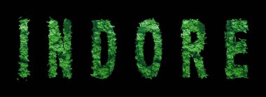 Indore harfleri, Indore Ormanı Ekolojisi Siyah, Kırpma Yolu Konsepti