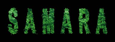 Samara harfleri, Samara Ormanı Ekolojisi Siyah, Kırpma Yolu Konsepti