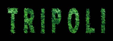 Trablus harfleri, Trablus Ormanı Ekolojisi Siyah, Kırpma Yolu Konsepti