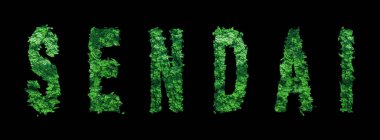 Sendai harfleri, Sendai Ormanı Ekolojisi Siyah, Kırpma Yolu Konsepti