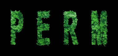 Perma harfleri, Perma Ormanı Ekolojisi Siyah, Kırpma Yolu Konsepti