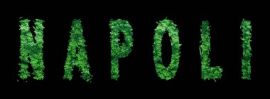 Napoli harfleri, Napoli Ormanı Ekolojisi Siyah, Kırpma Yolu Konsepti