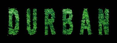 Durban harfleri, Durban Ormanı Ekolojisi Siyah, Kırpma Yolu Konsepti