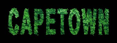 Capetown Harfleri, Capetown Orman Ekolojisi Siyah, Kırpma Yolu Konsepti