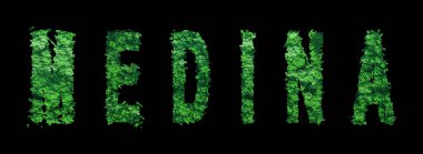 Medine harfleri, Medine Ormanı Ekolojisi Siyah, Kırpma Yolu Konsepti