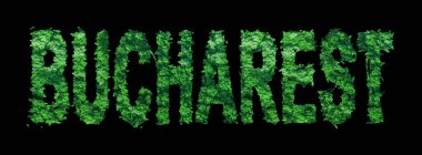 Bükreş antlaşması, Bükreş Ormanı Ekolojisi Siyahi, Kırpma Yolu Kavramı