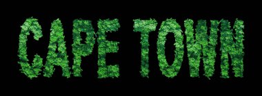 Cape Town harfleri, Cape Town Ormanı Ekolojisi Siyah, Kırpma Yolu Konsepti