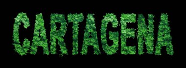 Kartagena harfleri, Kartagena Ormanı Ekolojisi Siyah, Kırpma Yolu Konsepti