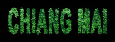 Chiang Mai harfleri, Chiang Mai Ormanı Ekolojisi Siyah, Kırpma Yolu Konsepti