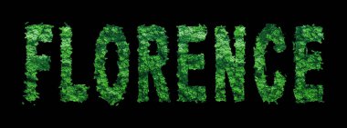 Florence Forest Ekolojisi Siyahi ve Kırpma Yolu Konsepti