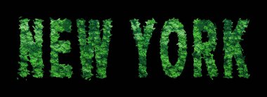 New York yazıtları, New York Ormanı Ekolojisi Siyahlar Üzerine Kavram, Kırpma Yolu