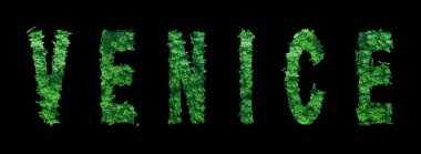 Venedik harfleri, Venedik Ormanı Ekolojisi Siyah, Kırpma Yolu Konsepti