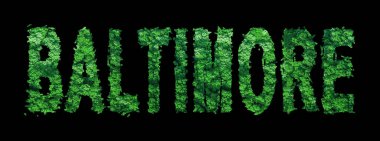 Baltimore Harfleri, Baltimore Ormanı Ekolojisi Siyahi Konsepti, Kırpma Yolu