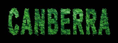 Canberra harfleri, Canberra Ormanı Ekolojisi Siyah, Kırpma Yolu Konsepti