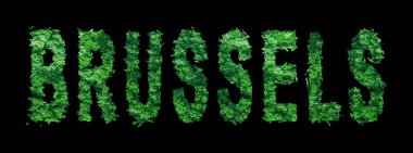 Brüksel Harfleri, Brüksel Orman Ekolojisi Siyahi ve Kırpma Yolu Kavramı