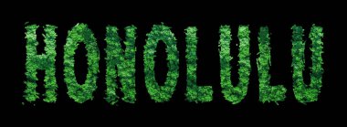 Honolulu harfleri, Honolulu Ormanı Ekolojisi Siyah, Kırpma Yolu Konsepti