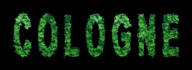 Köln harfleri, Köln Ormanı Ekolojisi Siyahi Konsepti, Kırpma Yolu