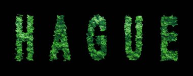 Lahey harfleri, Lahey Orman Ekolojisi Siyahi ve Kırpma Yolu Kavramı