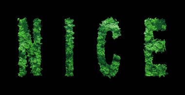 Güzel yazılar, Orman Ekolojisi Siyahlar ve Kırpma Yolları Konsepti