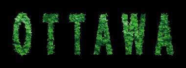 Ottawa harfleri, Ottawa Ormanı Ekolojisi Siyah, Kırpma Yolu Konsepti