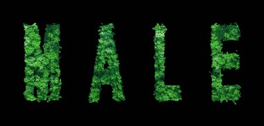 Erkek Harfleri, Erkek Ormanı Ekolojisi Siyah, Kırpma Yolu Konsepti