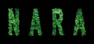 Nara harfleri, Nara Ormanı Ekolojisi Siyah, Kırpma Yolu Konsepti