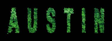 Austin Harfleri, Austin Ormanı Ekolojisi Siyah, Kırpma Yolu Konsepti