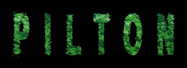 Pilton Harfleri, Pilton Ormanı Ekolojisi Siyah, Kırpma Yolu Konsepti