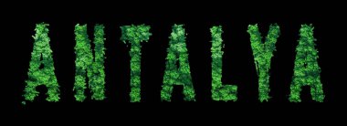 Antalya harfleri, Antalya Ormanı Ekolojisi Siyah, Kırpma Yolu Konsepti