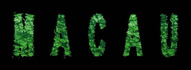 Macau harfleri, Macau Ormanı Ekolojisi Siyah, Kırpma Yolu Konsepti