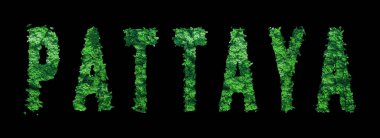 Pattaya harfleri, Pattaya Ormanı Ekolojisi Siyah, Kırpma Yolu Konsepti