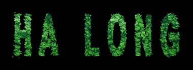 Ha Long Harfleri, Ha Uzun Orman Ekolojisi Siyahi Konsepti, Kırpma Yolu