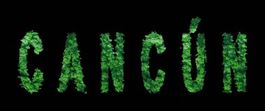 Cancun harfleri, Cancun Ormanı Ekolojisi Siyah, Kırpma Yolu Konsepti