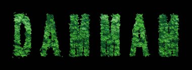 Dammam harfleri, Dammam Ormanı Ekolojisi Siyah, Kırpma Yolu Konsepti