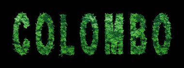 Colombo harfleri, Colombo Ormanı Ekolojisi Siyah, Kırpma Yolu Konsepti